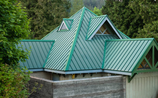Best Skylight Installation and Repair  in Sunray, TX