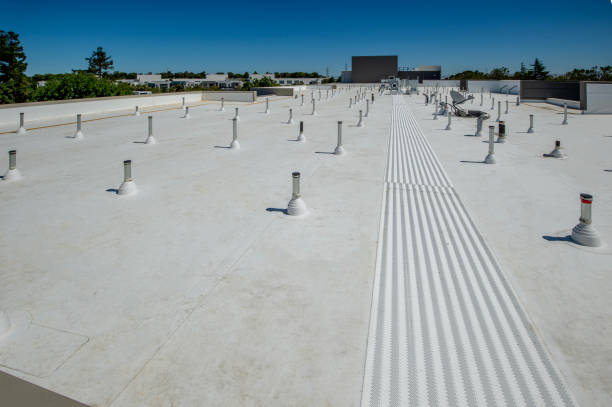 Best Roof Insulation Installation  in Sunray, TX